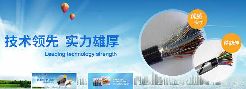 天津市电缆总厂第一分厂公司简介
