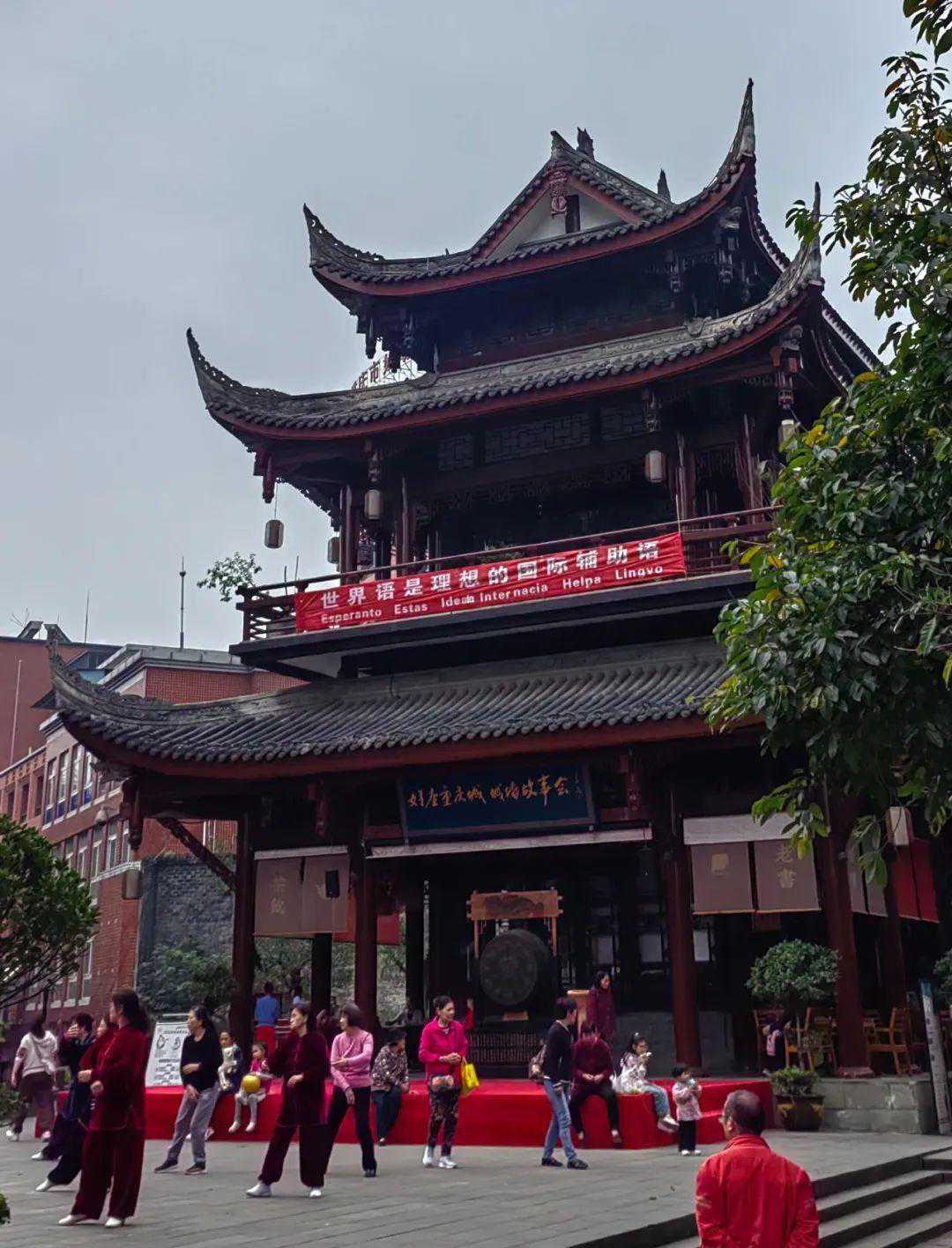 全国世协会长刘大为调研重庆世界语协会