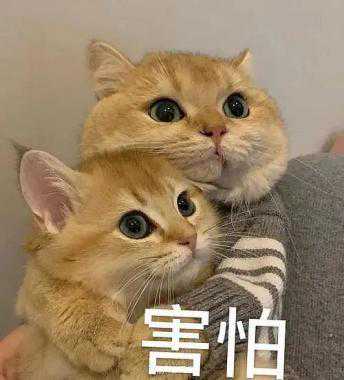 打鼾也是病？