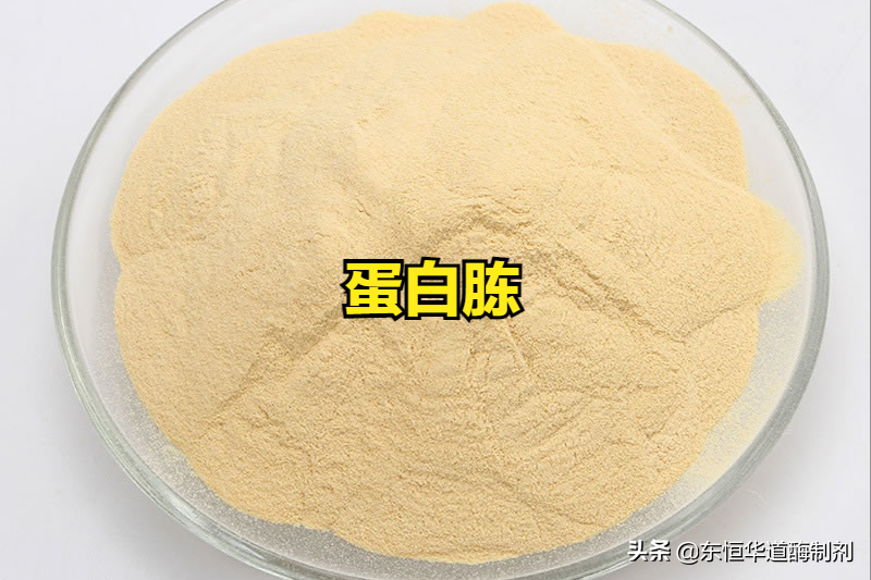 胰蛋白胨和蛋白胨，您真的了解吗？