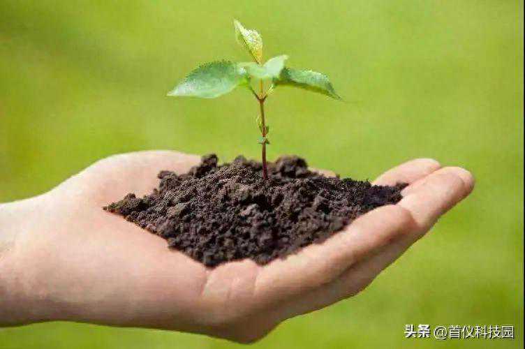 自动凯氏定氮仪测定土壤有效氮