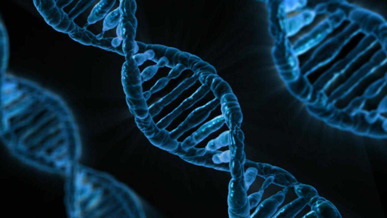 百检网｜百检检测之微生物检测