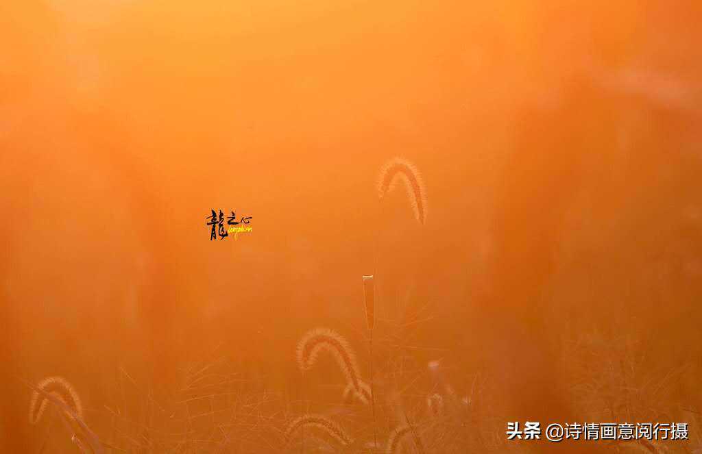 自己打开自己的人生「文字｜海明/摄影｜孙迪明」