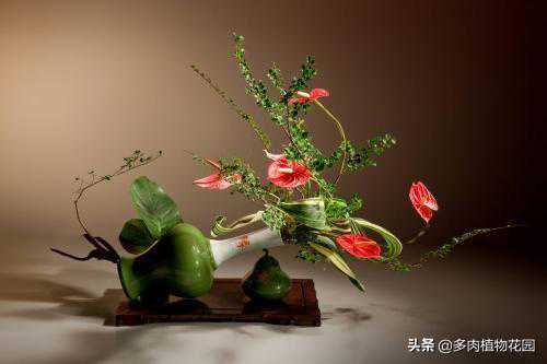 瓶式插花也不是那么简单，记住这“3点”插花更美丽