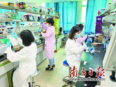 精准筛选“种子”细胞助力疾病治疗