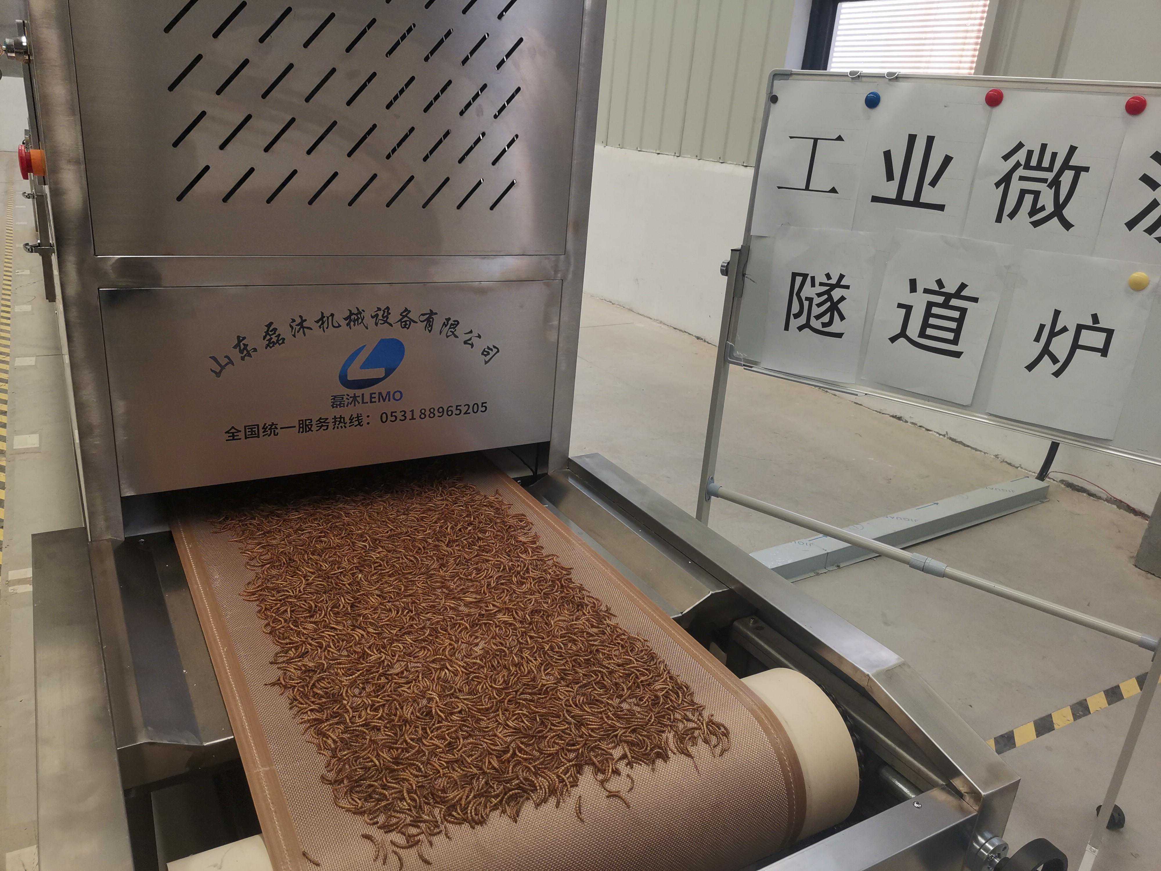 微波烘干技术在黄粉虫干燥领域的应用，你了解多少？