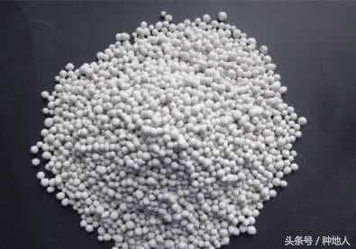 肥料氮素全解：什么是硝态氮，铵态氮，酰胺态氮？