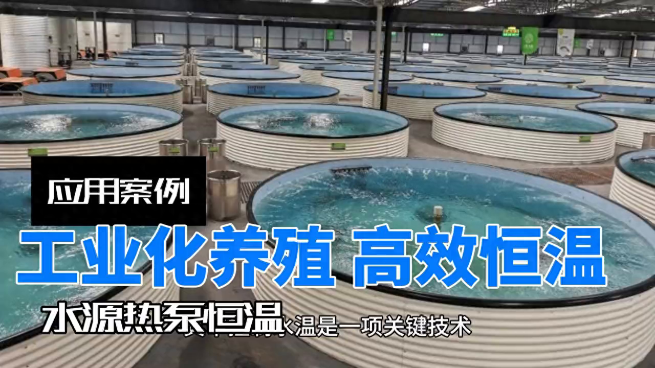 凯德利冷水机：助力工厂化循环水养殖，高效恒温