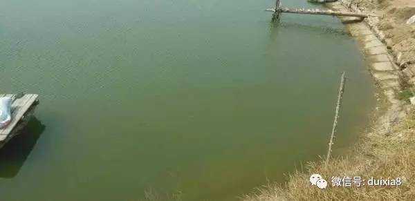 谈谈对虾养殖水体的总硬度和总碱度