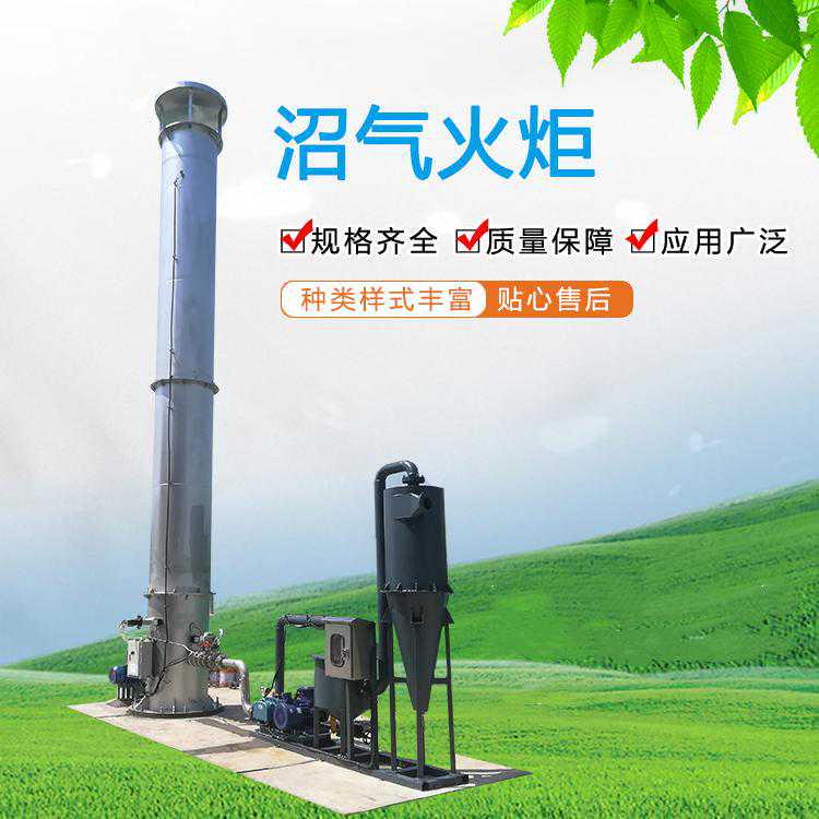 沼气净化器 沼气燃烧器主要用途-琪源环保