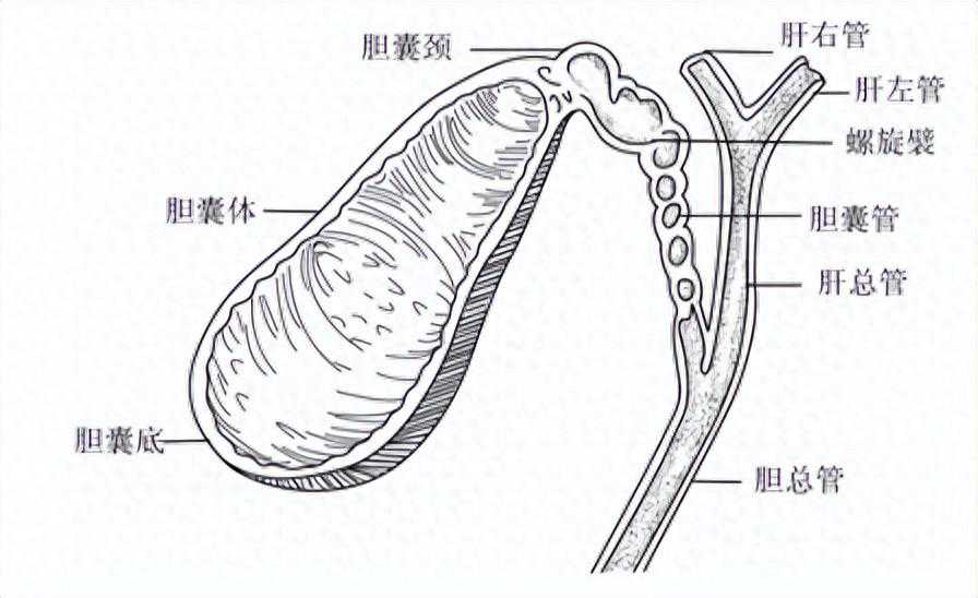 洗胃机简史：医学领域的突破性发明