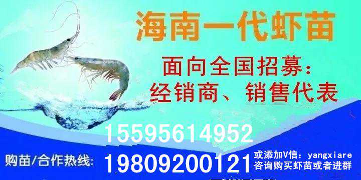 养虾人，你知道水硬度？知道它是怎么换算的吗？
