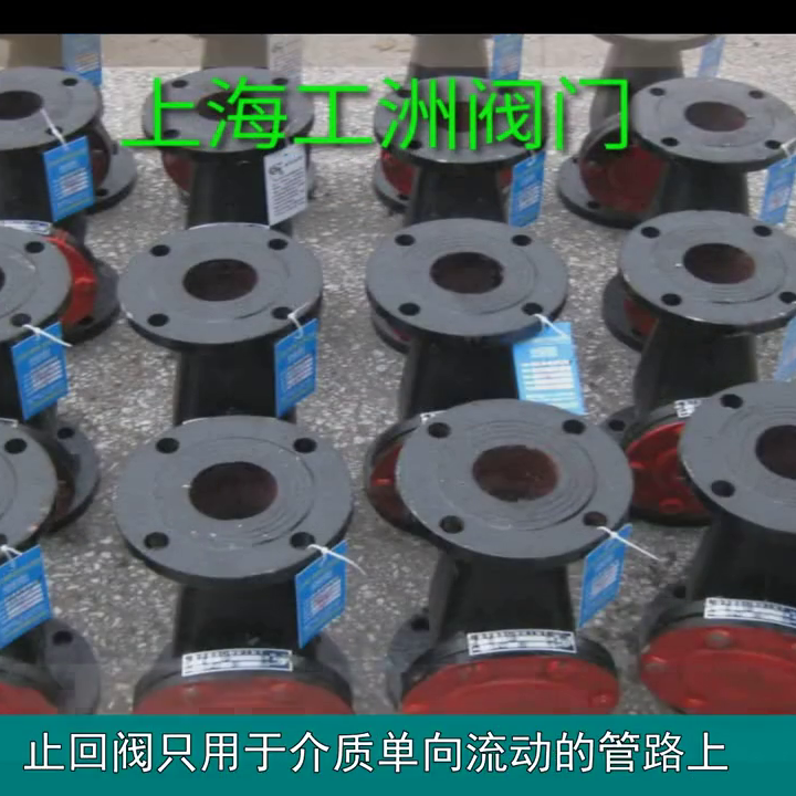 不锈钢法兰旋启式止回阀