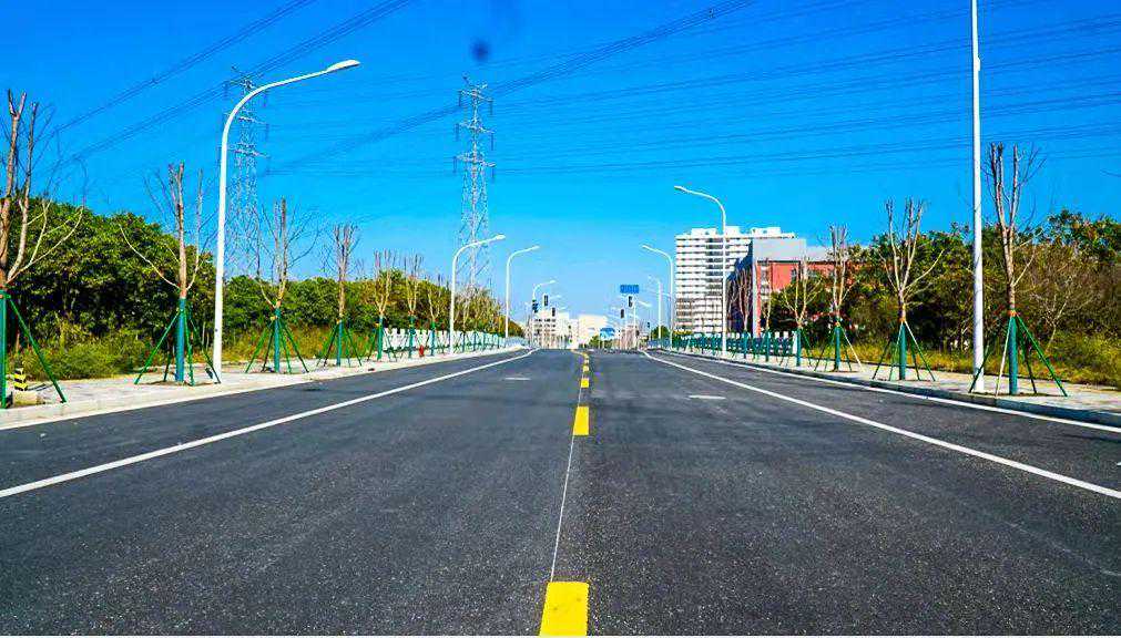 松江这条路通了！未来将建成红枫景观大道